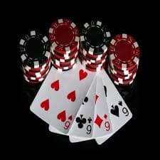 922bet8